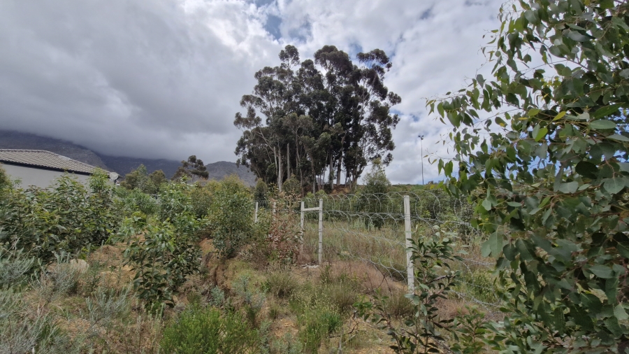 0 Bedroom Property for Sale in Villiersdorp Western Cape